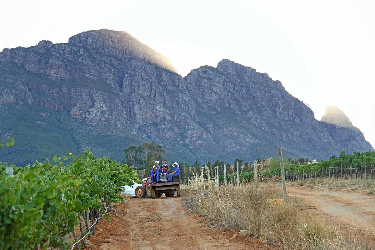 Muratie Wine Estate ステレンボッシュ エクステリア 写真