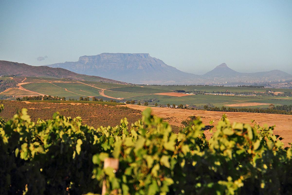 Muratie Wine Estate ステレンボッシュ エクステリア 写真